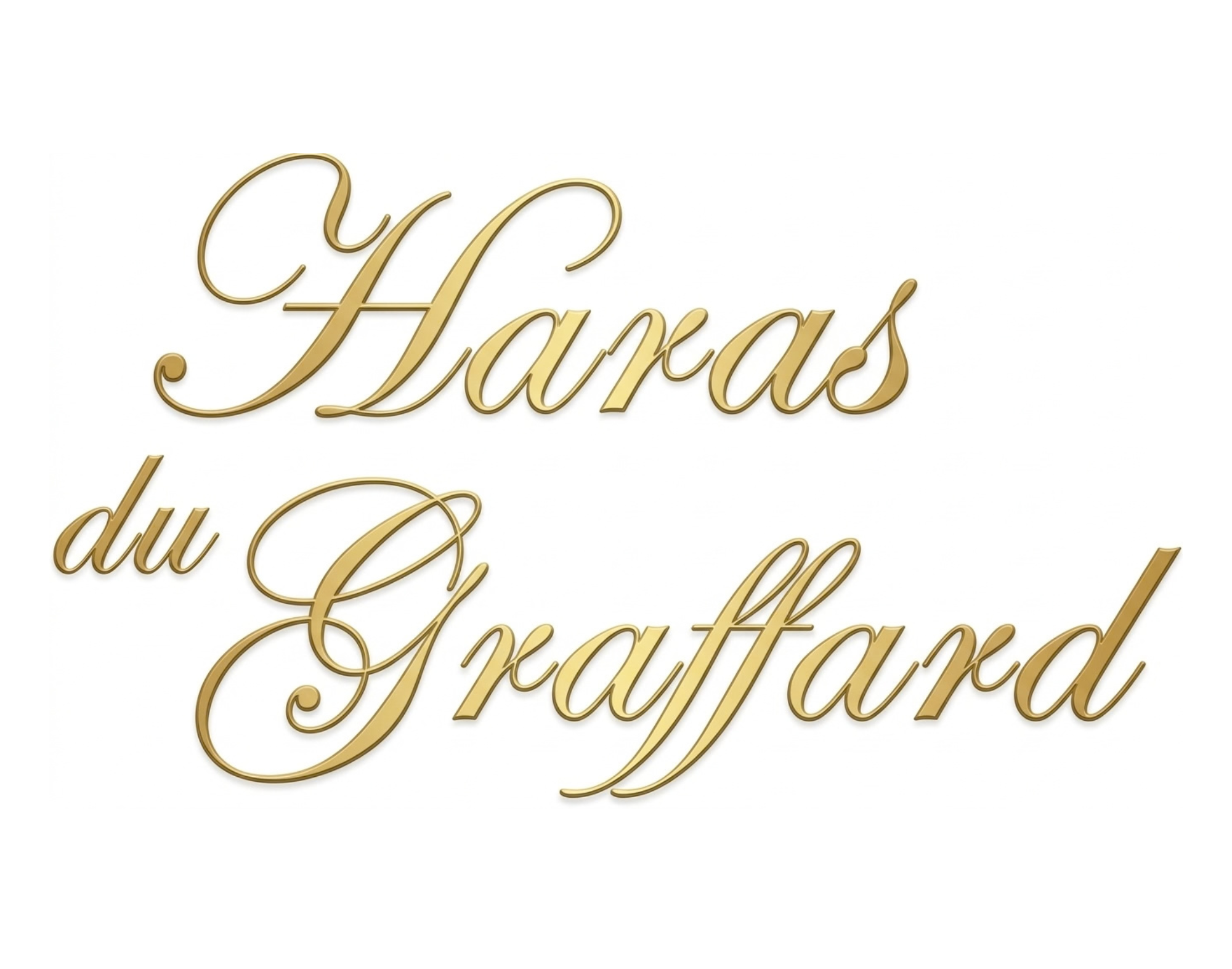 Logos Haras du graffard